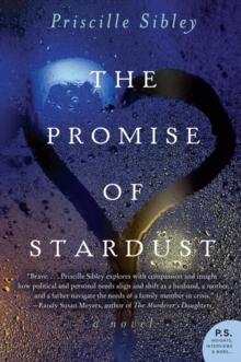 The Promise of Stardust : A Novel