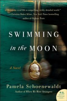 Swimming in the Moon : A Novel