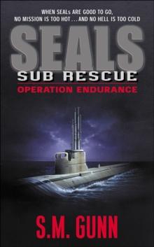 Seals Sub Rescue : Operation Endurance