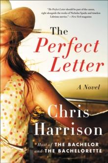 The Perfect Letter : A Novel