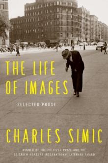 The Life of Images : Selected Prose