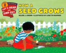 How a Seed Grows