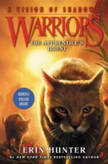 Warriors: A Vision Of Shadows #1: The Apprentice's Quest