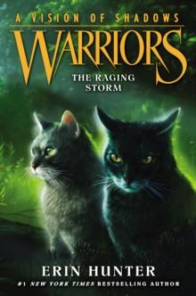 Warriors: A Vision of Shadows #6: The Raging Storm