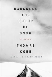 Darkness the Color of Snow : A Novel