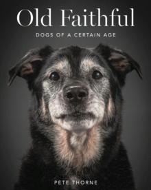 Old Faithful : Dogs of a Certain Age