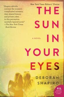 The Sun in Your Eyes : A Novel