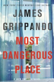 Most Dangerous Place : A Jack Swyteck Novel