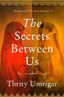 The Secrets Between Us : A Novel