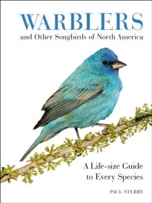 Warblers and Other Songbirds of North America : A Life-size Guide to Every Species