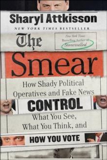 The Smear : How Shady Political Operatives and Fake News Control What You See, What You Think, and How You Vote