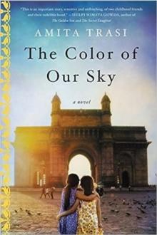 The Color of Our Sky : A Novel