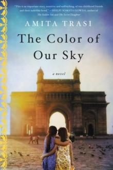 The Color of Our Sky : A Novel