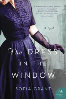 The Dress in the Window : A Novel