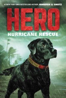 Hero: Hurricane Rescue