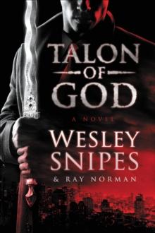 Talon of God : A Novel