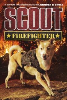 Scout: Firefighter