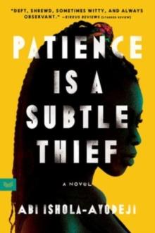 Patience Is a Subtle Thief : A Novel