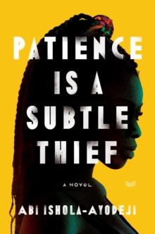 Patience Is a Subtle Thief : A Novel