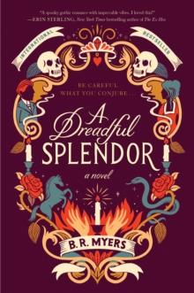 A Dreadful Splendor : A Novel