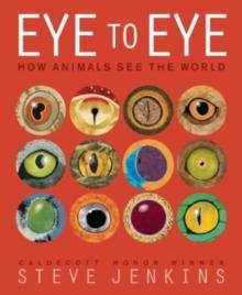 Eye to Eye/How Animals See the World : How Animals See the World