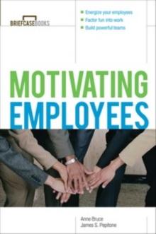 Motivating Employees