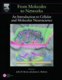 From Molecules to Networks : An Introduction to Cellular and Molecular Neuroscience