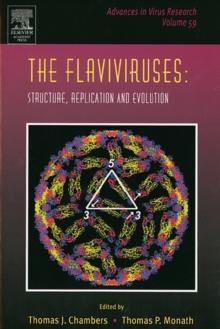 The Flaviviruses: Structure, Replication and Evolution