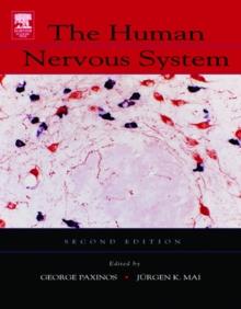 The Human Nervous System