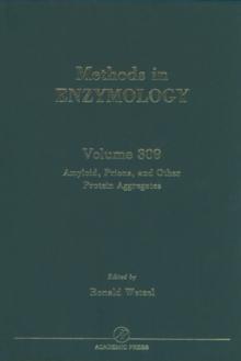 Amyloid, Prions, and Other Protein Aggregates