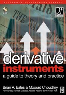 Derivative Instruments : A Guide to Theory and Practice