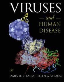 Viruses and Human Disease