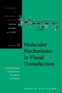 Molecular Mechanisms in Visual Transduction