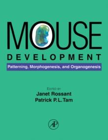 Mouse Development : Patterning, Morphogenesis, and Organogenesis