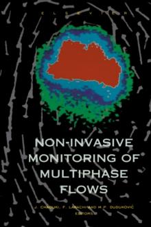 Non-Invasive Monitoring of Multiphase Flows