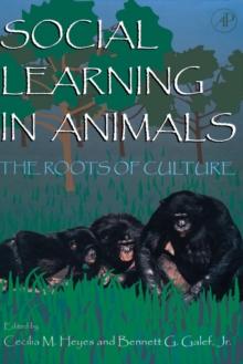 Social Learning In Animals : The Roots of Culture