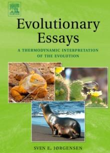 Evolutionary Essays : A Thermodynamic Interpretation of the Evolution