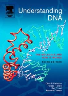 Understanding DNA : The Molecule and How It Works