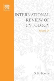 International Review of Cytology : Volume 24