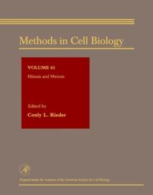 Mitosis and Meiosis