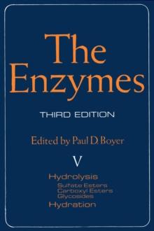 The Enzymes