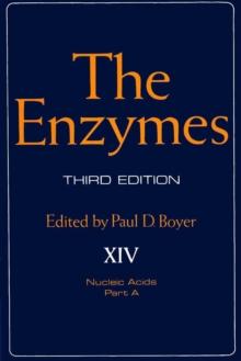 The Enzymes