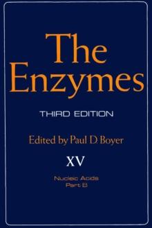 The Enzymes