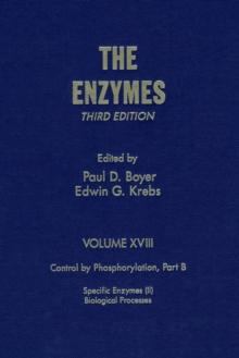 The Enzymes