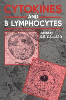 Cytokines and B Lymphocytes