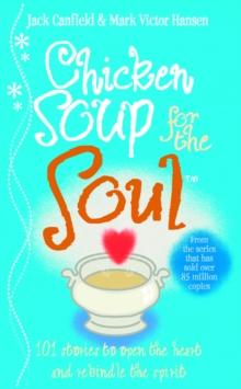 Chicken Soup For The Soul : 101 Stories to Open the Heart and Rekindle the Spirit