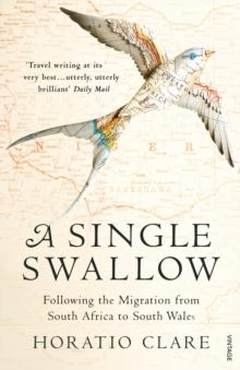 A Single Swallow : Following An Epic Journey From South Africa To South Wales