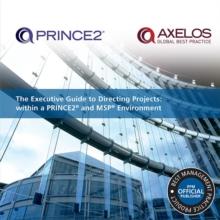 The Executive Guide to Directing Projects : Within a PRINCE2 and MSP Environment