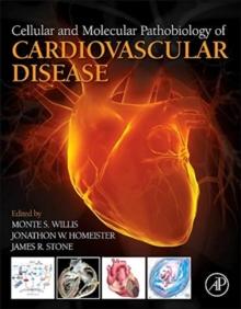 Cellular and Molecular Pathobiology of Cardiovascular Disease