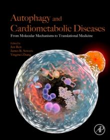 Autophagy and Cardiometabolic Diseases : From Molecular Mechanisms to Translational Medicine